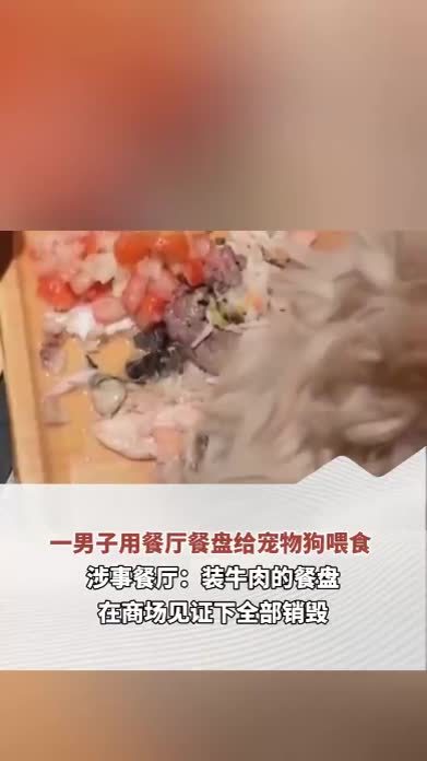 一男子用餐厅餐盘给宠物狗喂食 涉事餐厅：装牛肉的餐盘在商场见证下全部销毁