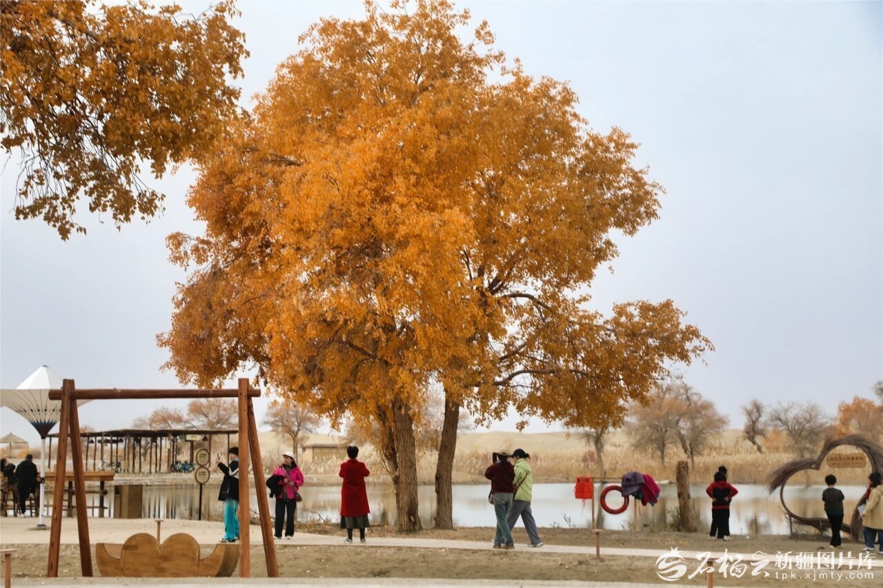 游客在罗布人村寨景区游玩。魏新江摄