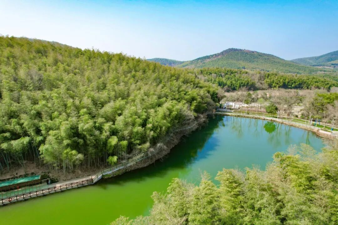 DJI_0070.jpg