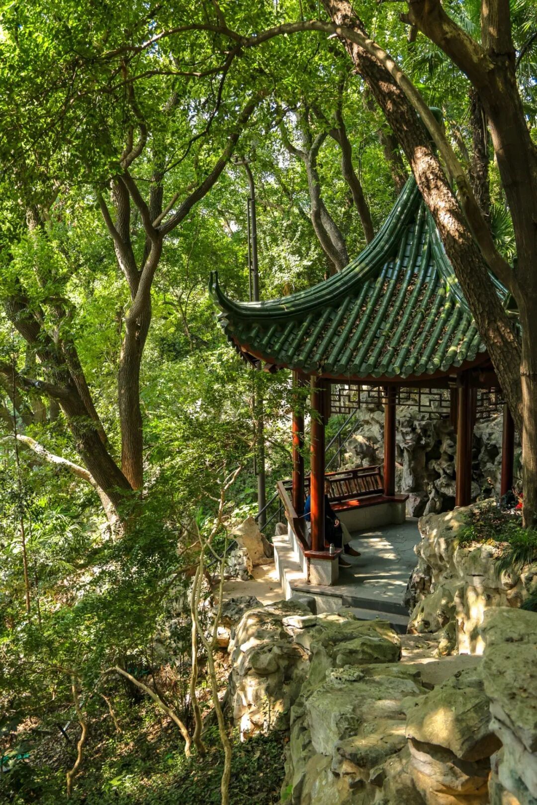 10.8 长风公园 朱旭洁摄 (43 - 70).jpg