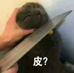 皮?