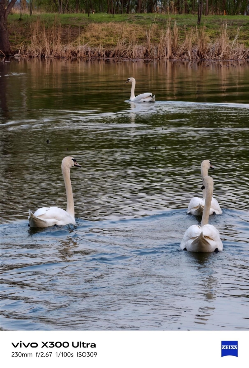 14-400mm终极全焦段!vivo X300 Ultra手机全面评测:依然是年度影像机皇