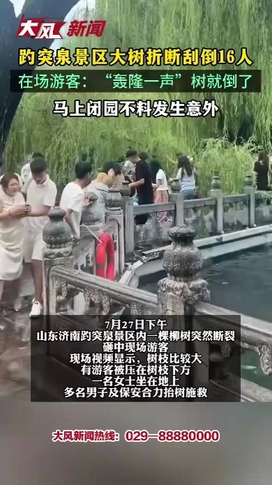 趵突泉景区大树折断刮倒16人 在场游客：“轰隆一声”树就倒了，马上闭园不料发生意外