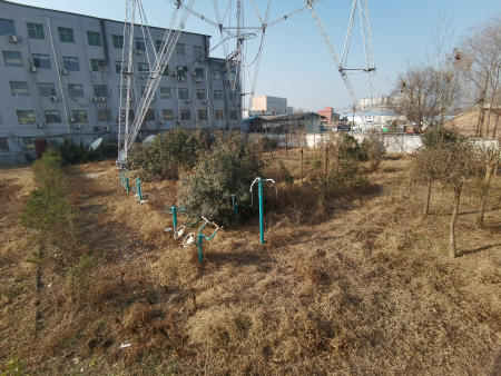 李金林昔日耕种的铁塔下的土地,如今杂草丛生。