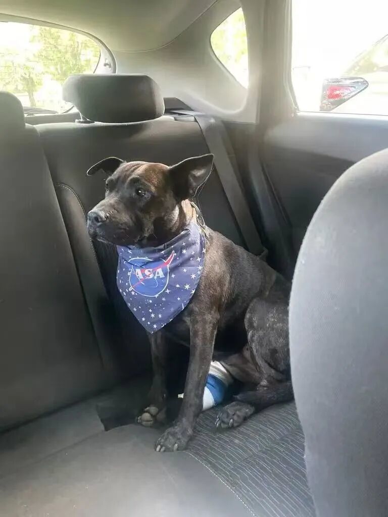 图片来源：保罗·康宁汉姆