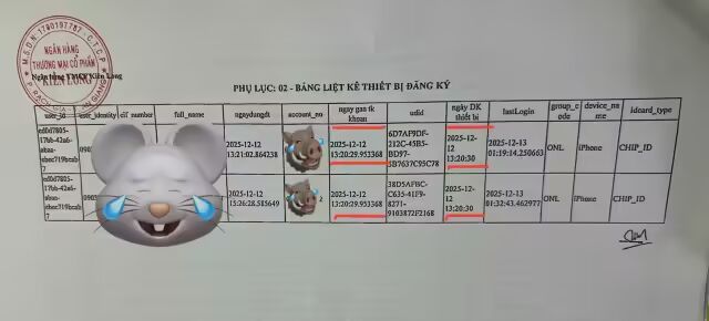 b2.jpg