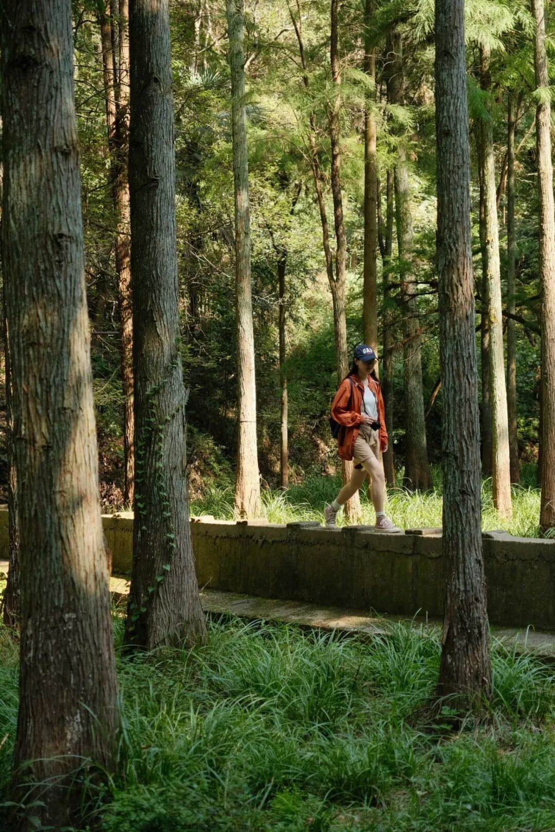 DSCF8570.jpg