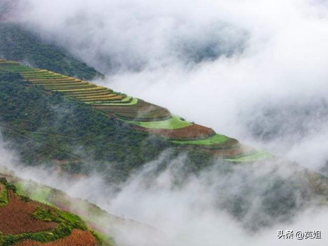 图片来自免费图库