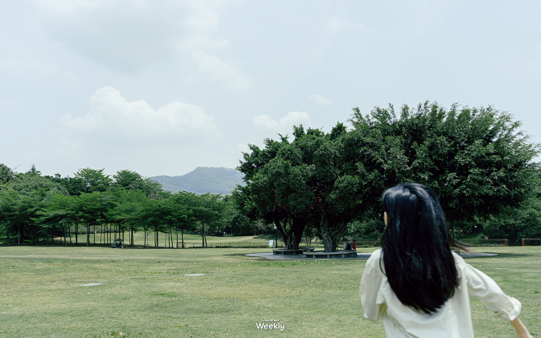 204a456760a59c5e6ac0b7c0a2ff85c6.png