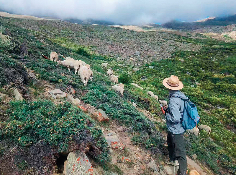 次仁罗布在放牧巡边路上（资料照片） 受访者供图