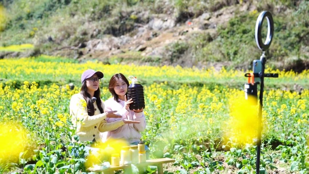 微信图片_20260514152111_361_214.png