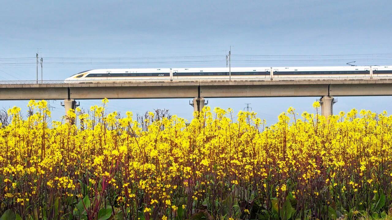△列车在春日的旷野里如一道流动的光。