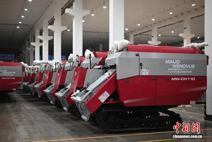 2025年12月，威马农机的工厂内，联合收割机已“打包”好，将出口东南亚。张旭 摄
