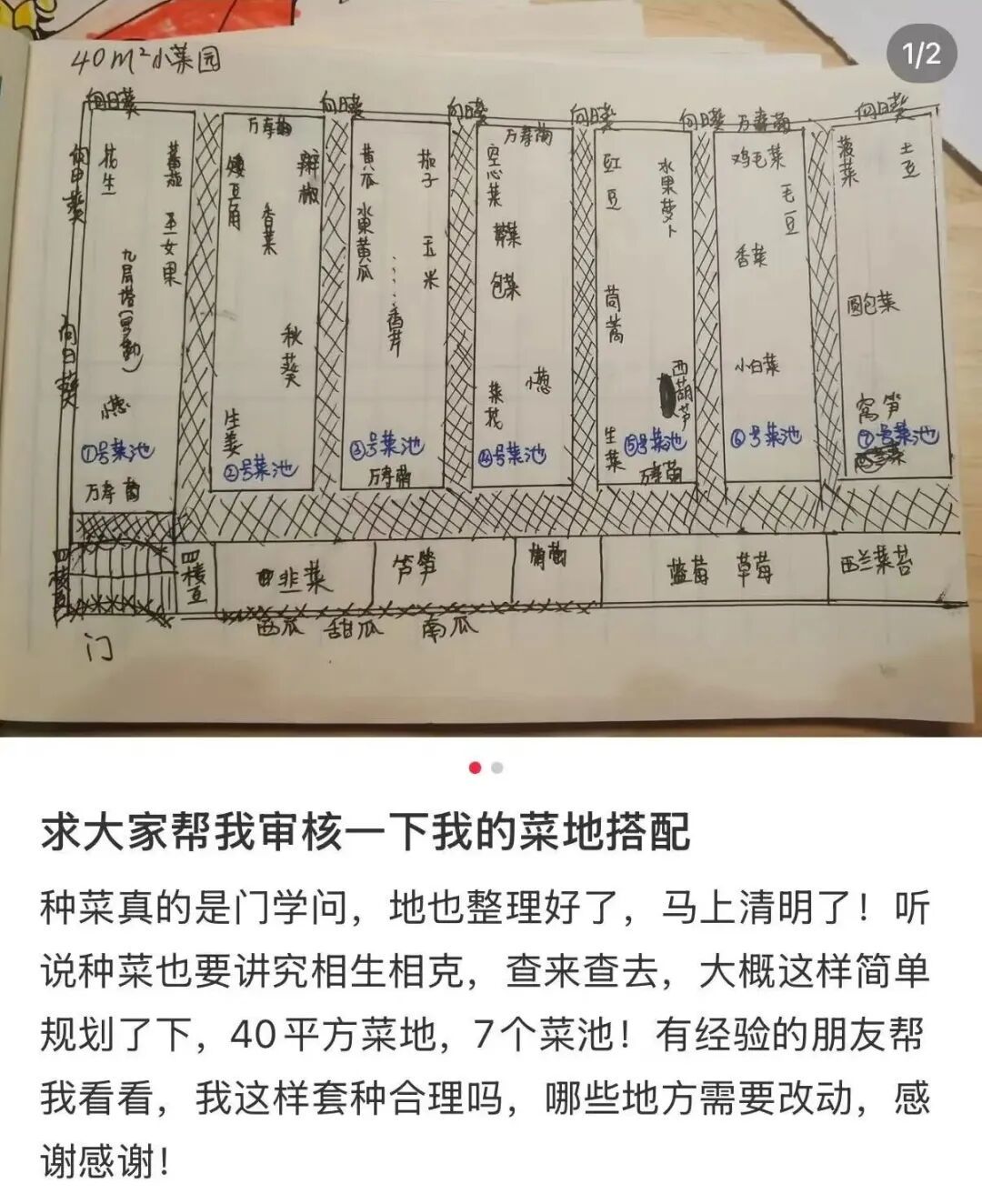 〓 来源:小红书@是初芯啊!