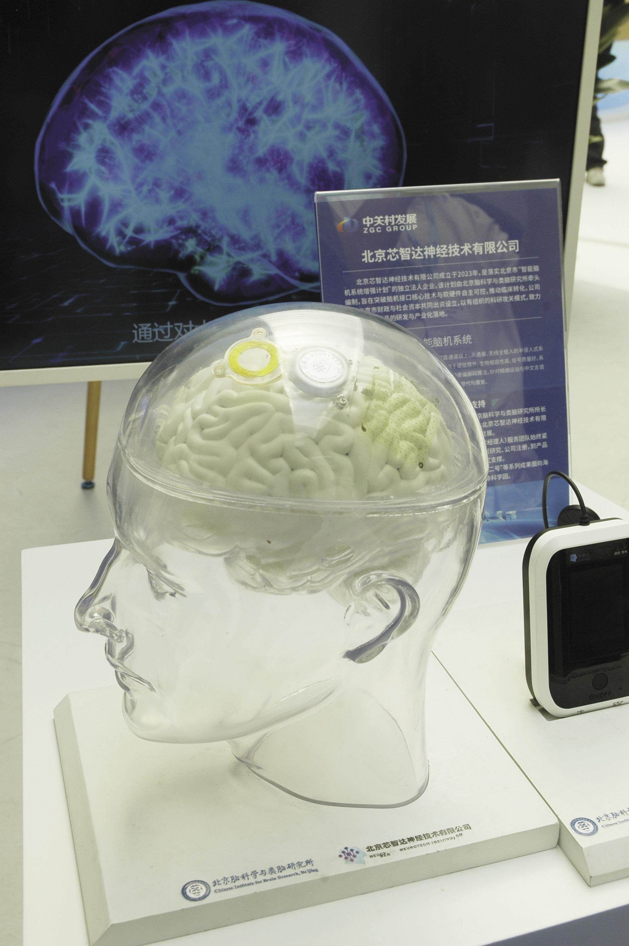 现场展示的“北脑一号”智能脑机系统模型 马 俊摄