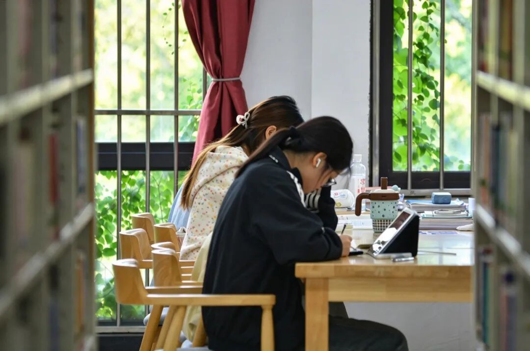 照片素材 (10).jpg