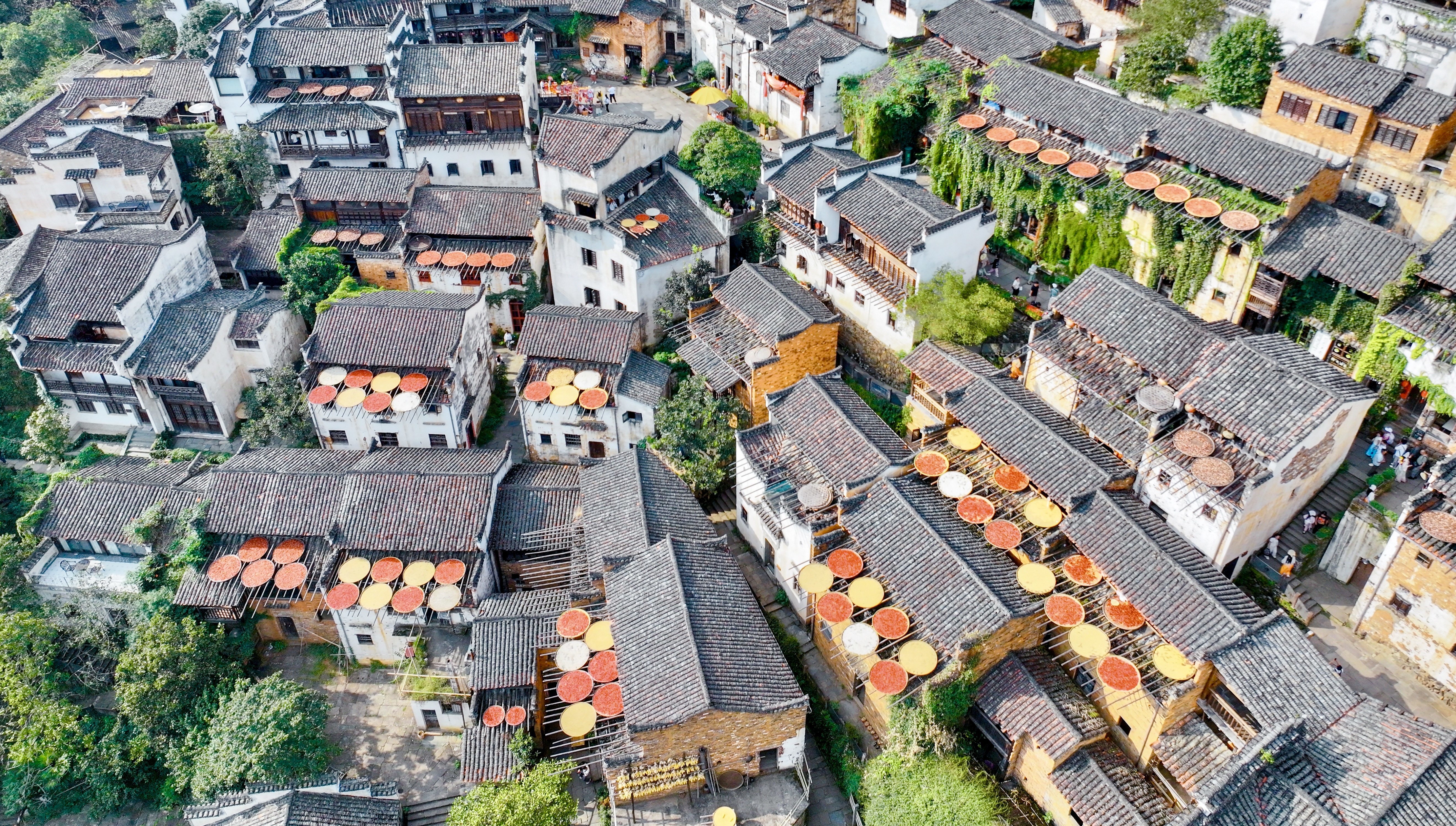 婺源县篁岭村的晒秋景象（9月15日摄，无人机照片）。新华社记者 胡晨欢 摄
