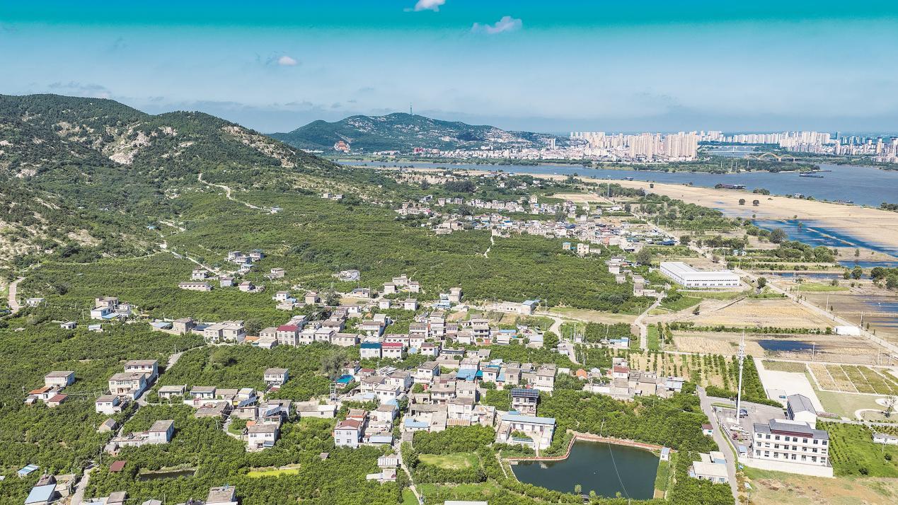 禹会区长青乡杜郢村。