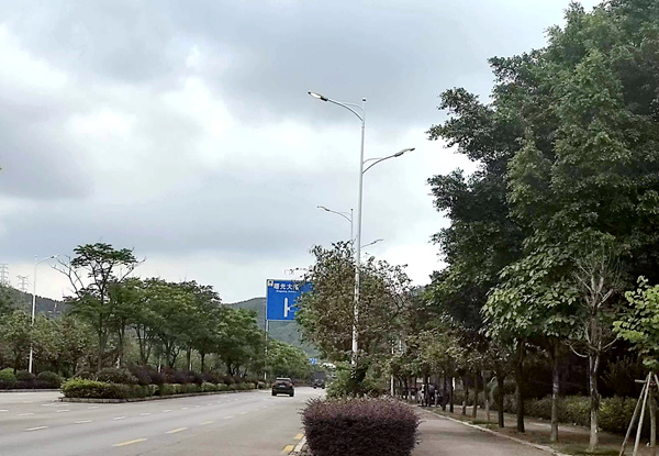广西柳州鱼峰区博园大道南段东风柳汽乘用车基地西一门至西四门路灯安装工作已完成。柳州市信访局供图