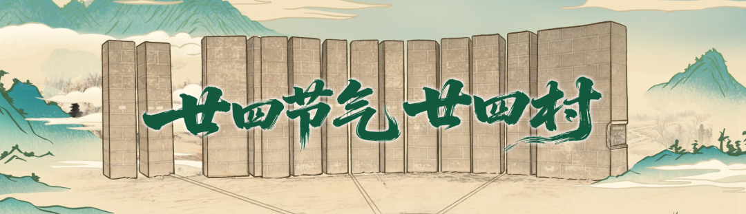 廿四节气廿四村丨芒种：麦浪流金