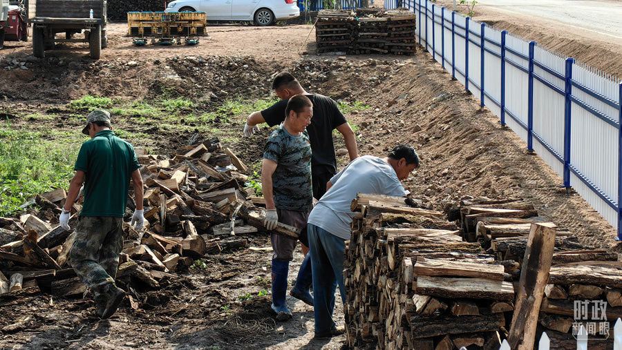 △2023年9月，黑龙江龙王庙村村民正在整理家中被洪水冲垮的柴火垛。（总台央广记者潘毅拍摄）