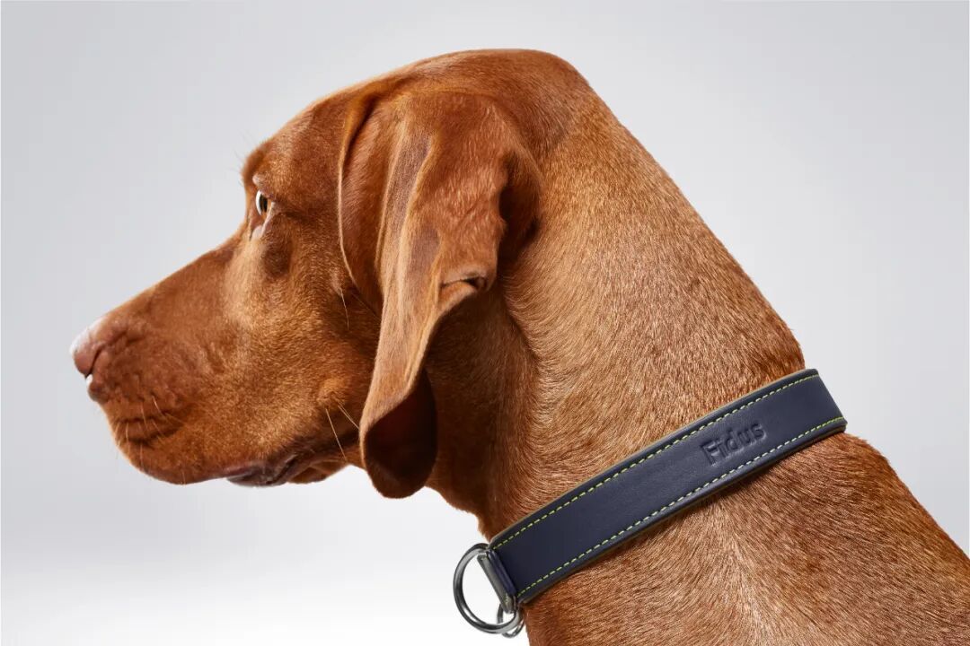 爱犬项圈 (1).jpg