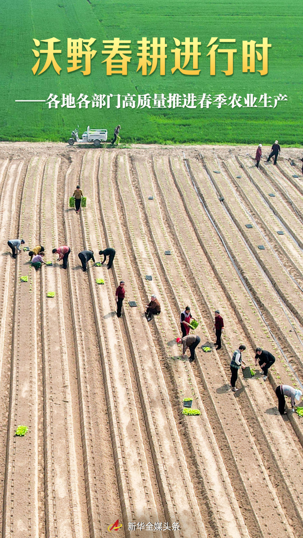 沃野春耕进行时