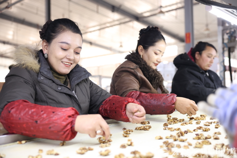2025年12月9日,阿克塔什镇就业产业园员工古再丽努尔·阿不都克热木(左一)在分拣核桃仁。苏比怒尔·吐鲁洪 摄