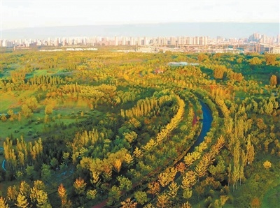 图为城市绿心森林公园。 北京北投生态环境有限公司供图