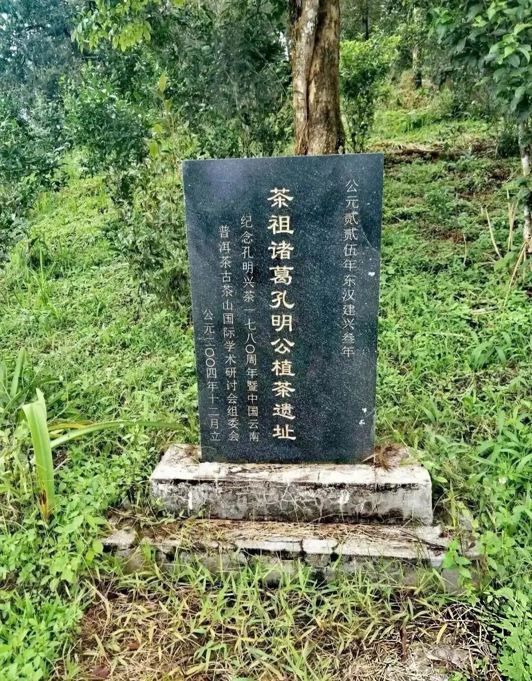微信图片_20260920104558_618_120.jpg