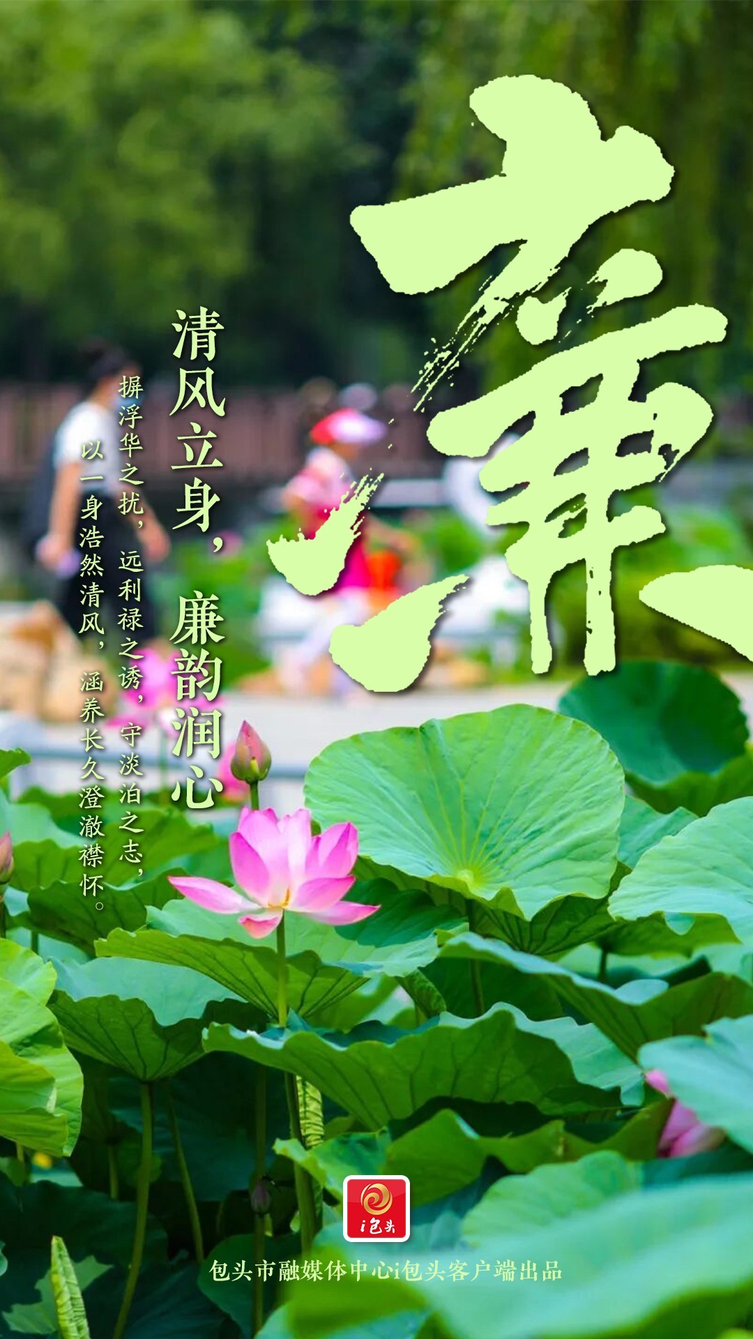 清廉9