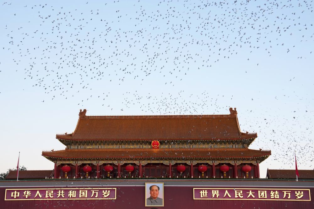 10月1日清晨,隆重的升国旗仪式在北京天安门广场举行,庆祝中华人民共和国成立77周年。这是升国旗仪式后放飞和平鸽。新华社记者 鞠焕宗 摄