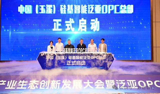 图源于硅基智能公众号