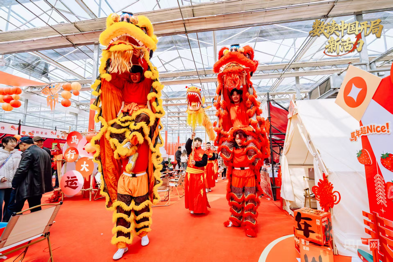 新春舞龙舞狮表演（央广网记者 吕倩媛 摄）