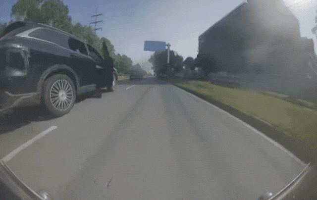 GIF.gif