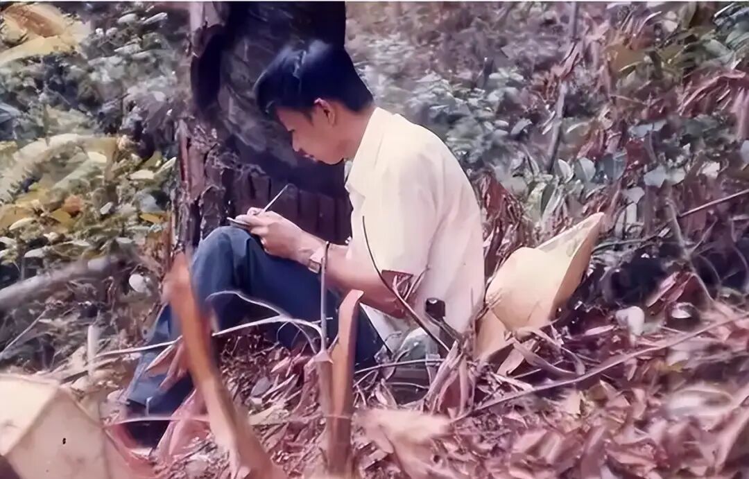 青年时期的陈景河