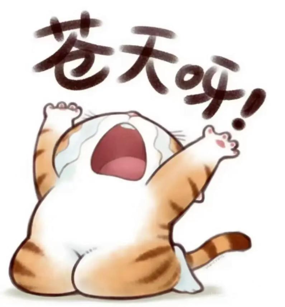 微信图片_20260504140720_257_43.png