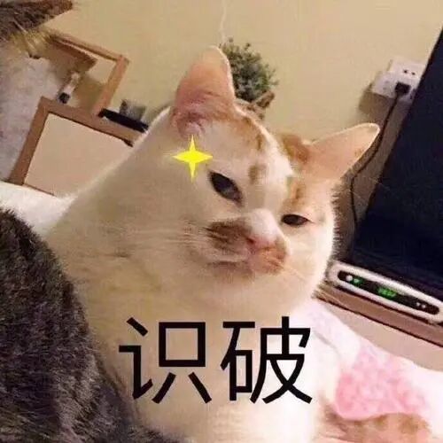 热门搞笑面目包图片:被你看透了,我是一只猫