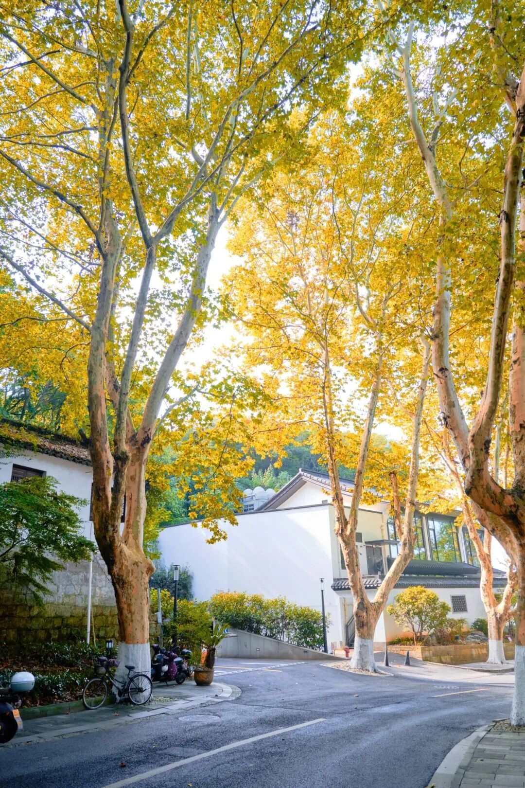 微信图片_2026-09-16_172239_468.jpg