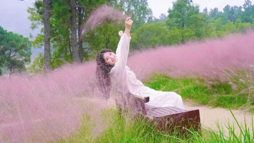 微信图片_20261016100745_1249_7.jpg