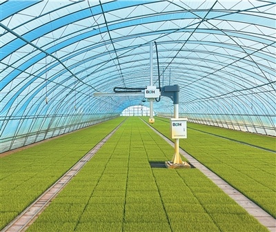 黑龙江北大荒集团友谊农场通过机械作业手臂等先进技术进行智能育秧，提高秧苗品质、降低生产成本。韩国龙仁市农机设备从业者 朴睿璘摄