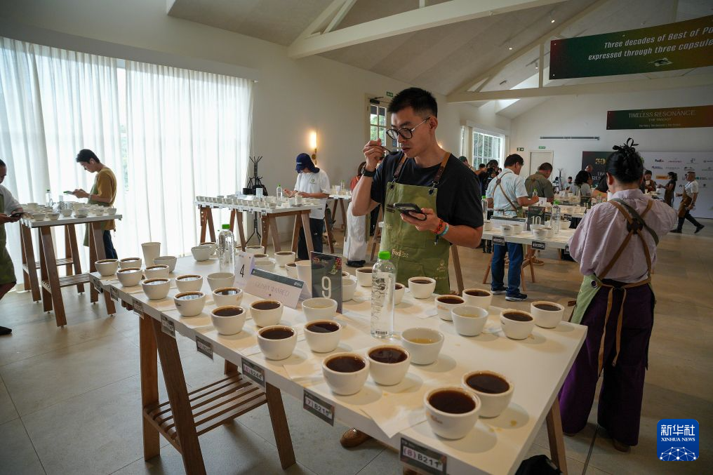 7月30日,在巴拿马奇里基省博克特地区举办的第30届“巴拿马最佳咖啡”大赛上,国际评委对咖啡进行杯测。新华社记者 李佳旭 摄