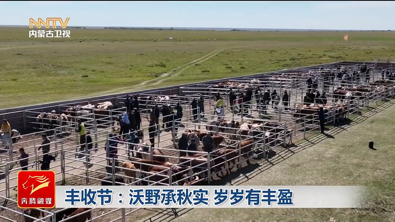 视频截图