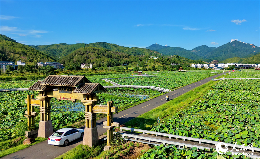 石城县琴江镇大畲村，一栋栋民居错落分布于青山田园间，与丹霞峰峦、青翠沃野相互映衬。人民网记者 朱海鹏摄