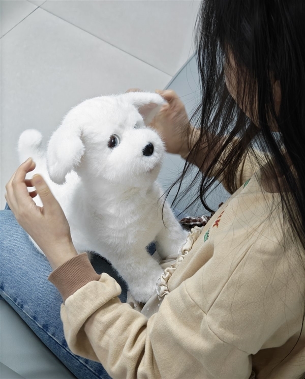 会撒娇能成长!科沃斯毛团陪伴机器人图赏