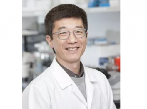 鲍志戎 南方科技大学