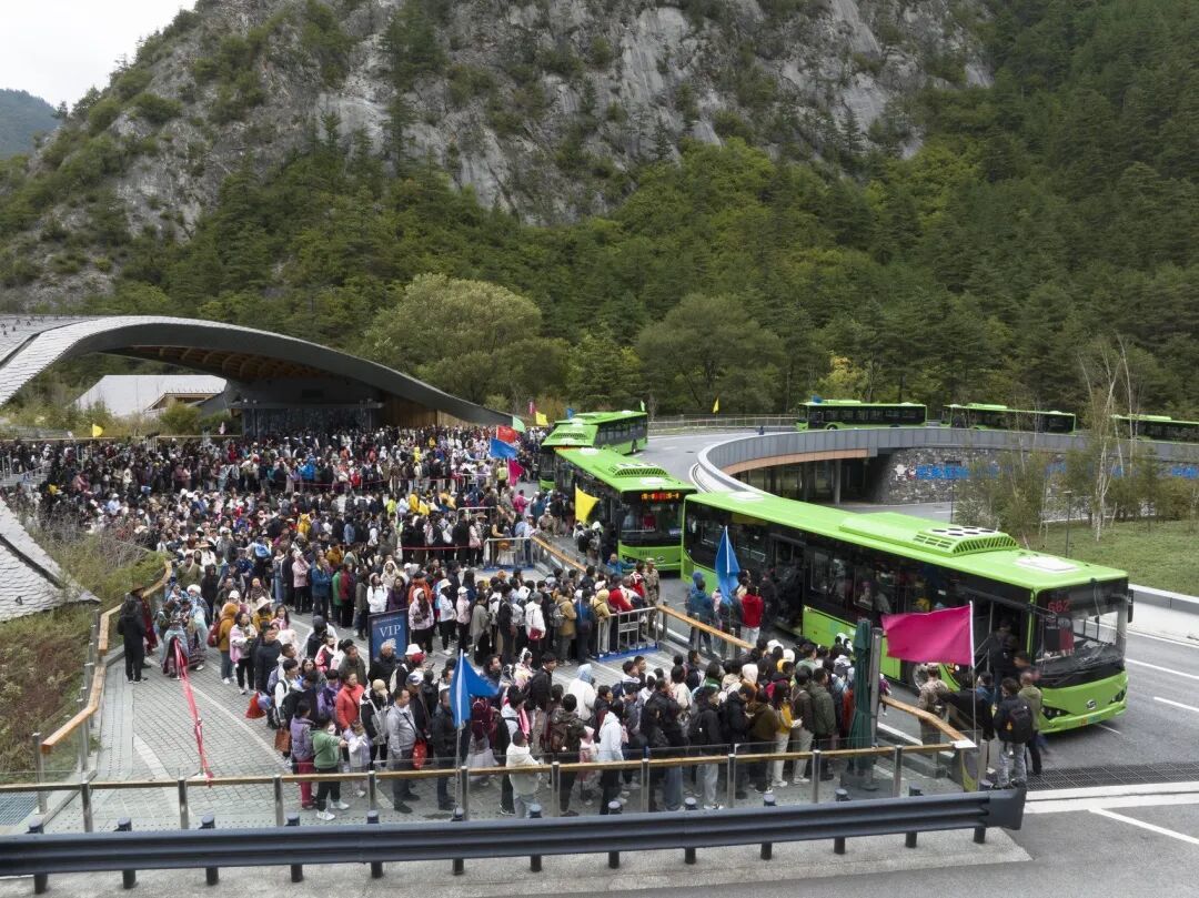 某景区摆渡车排长队的旅客
