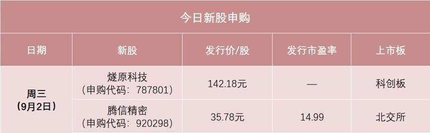 9月2日两只待申购新股基础信息一览