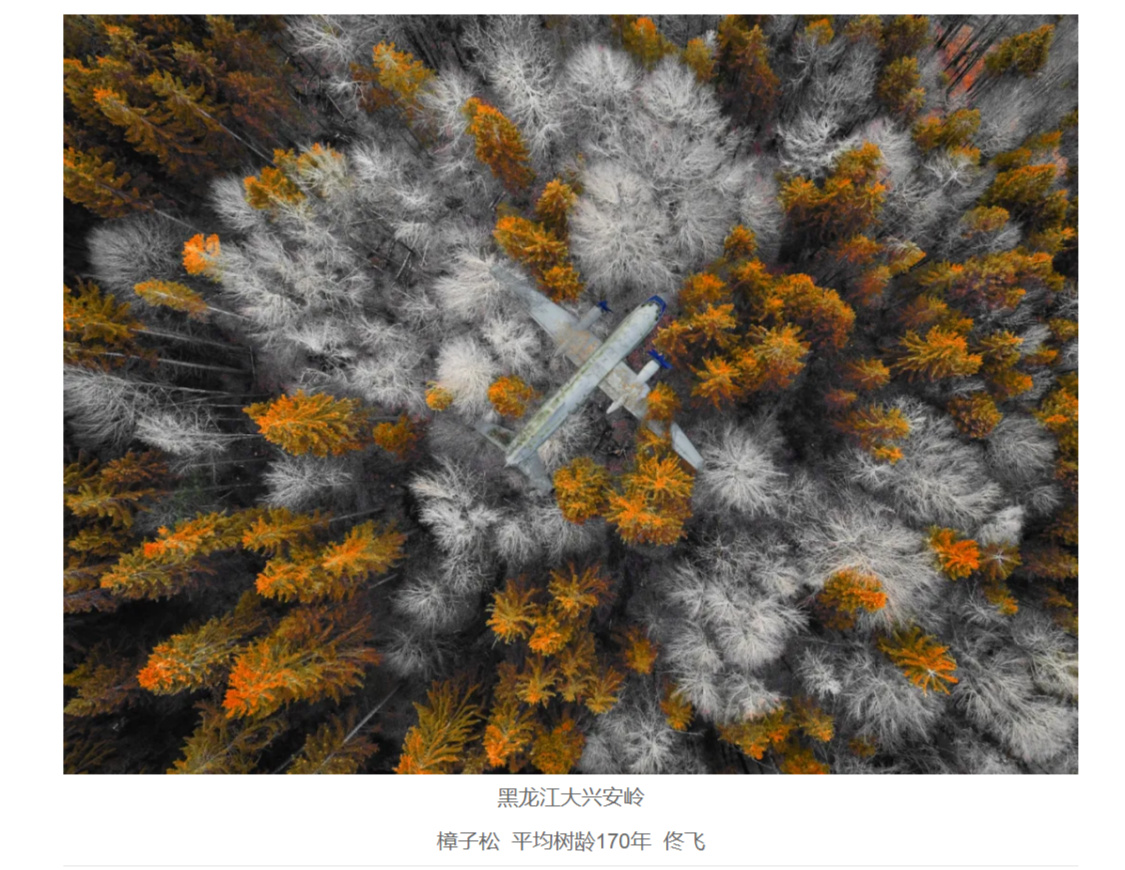 用AI篡改照片参加摄影赛，两人被取消省级摄影家协会会员资格