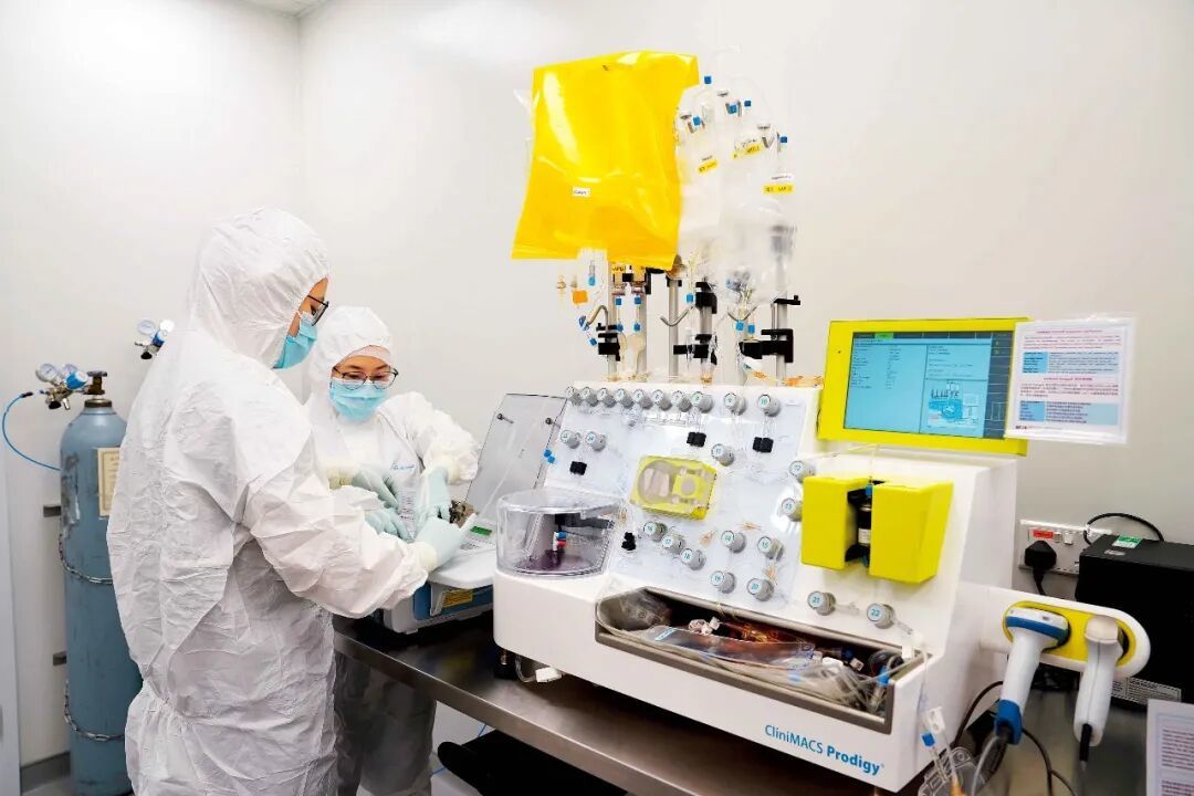 香港中文大学香港生物科技研究院先进疗法制品良好生产规范（GMP）中心实验室。图/受访者提供